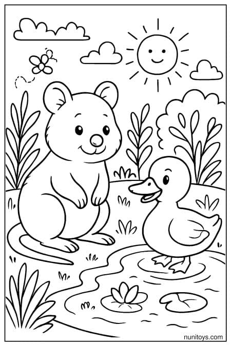 Quokka and duck standing by small pond together Coloring Page