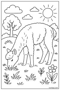 דף צביעה אלפקה אוכלת עשב בשדה עם שמש ופרחים