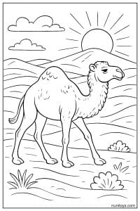 Camel Coloring Page Walking Across Desert Dunes