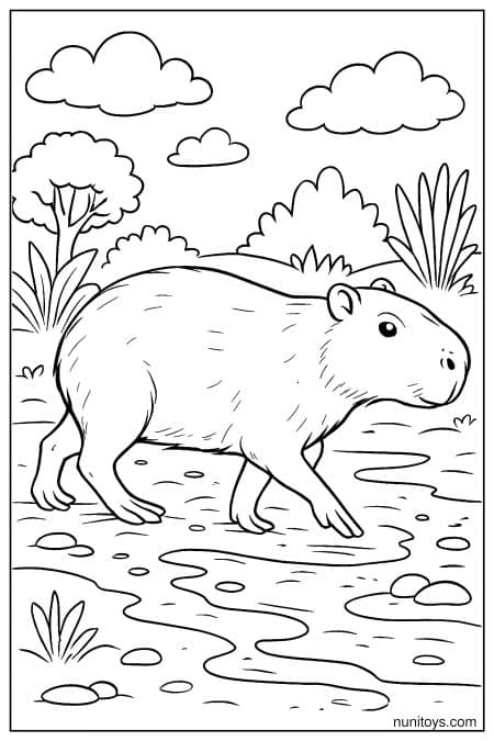 Capybara walks through water in open outdoor setting Coloring Page