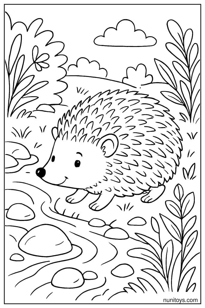 דף צביעה של קיפוד הולך ליד נחל בין אבנים וצמחים