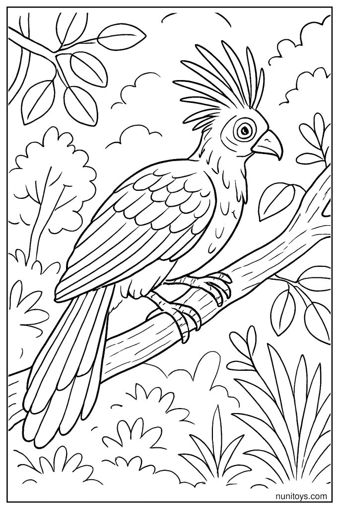 דף צביעה ציפור הואצין מטפסת על ענף בג'ונגל