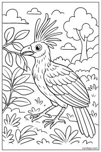 דף צביעה ציפור הואצין עומדת בגינה ואוכלת עלים
