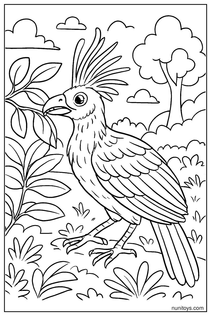 דף צביעה ציפור הואצין עומדת בגינה ואוכלת עלים