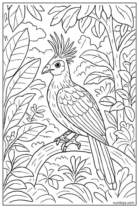 Realistic Hoatzin Bird in Rainforest Foliage Coloring Page