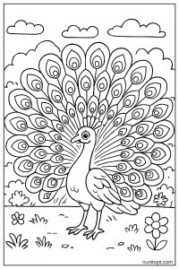 דף צביעה טווס עם זנב גדול פתוח ומלא עיניים