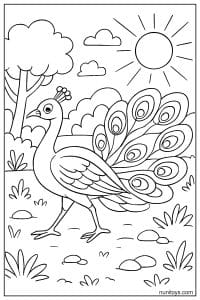 דף צביעה טווס הולך בשטח פתוח עם זנב מעוטר