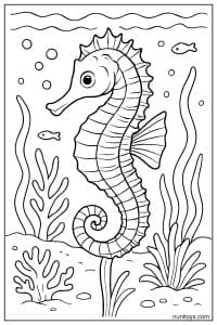 Seahorse Coloring Page with Coral and Sea Plants