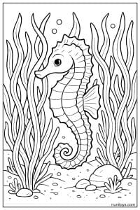 Seahorse Coloring Page Among Tall Seaweed Plants