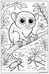 Tarsier Coloring Sheet Looking at Beetles on Ground