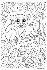 Tarsier Coloring Page with Bird on Jungle Branch
