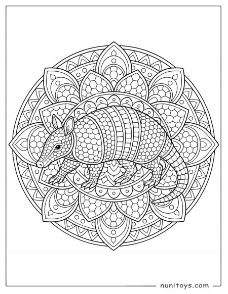 Armadillo Walking Across a Petal Mandala Coloring Page