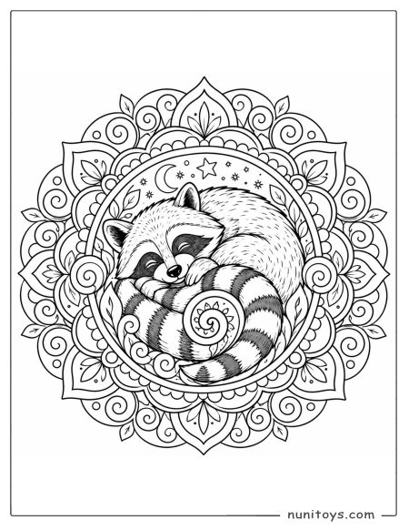 Sleeping Raccoon Curled in a Leafy Mandala Coloring Page