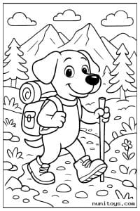 Hiking Dog Walking Through a Mountain Trail