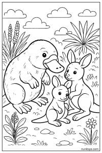 Coloring Page of a Platypus Meeting Two Kangaroos