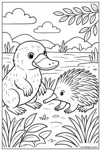 Platypus Meeting Echidna by the River Coloring Activity