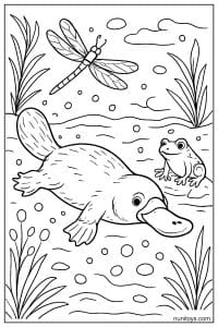 Coloring Page of a Platypus Swimming with Frog and Dragonfly