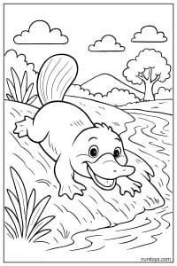 Kawaii Platypus Sliding Down Riverbank
