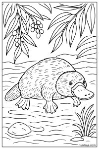 Coloring Page of a Platypus Swimming Under Leaves