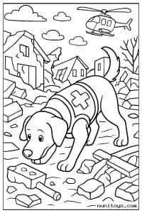 Rescue Dog Searching Through Rubble After Disaster
