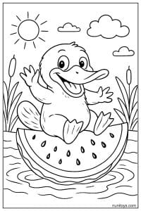 Kawaii Platypus Floating on Watermelon Coloring Sheet