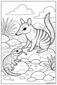 Numbat Meeting a Goanna in the Outback Coloring Sheet