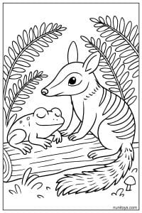 Numbat and Frog by a Forest Log Coloring Page