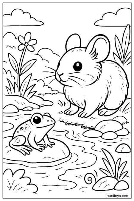 Pika Meeting a Frog by a Mountain Stream Coloring Sheet