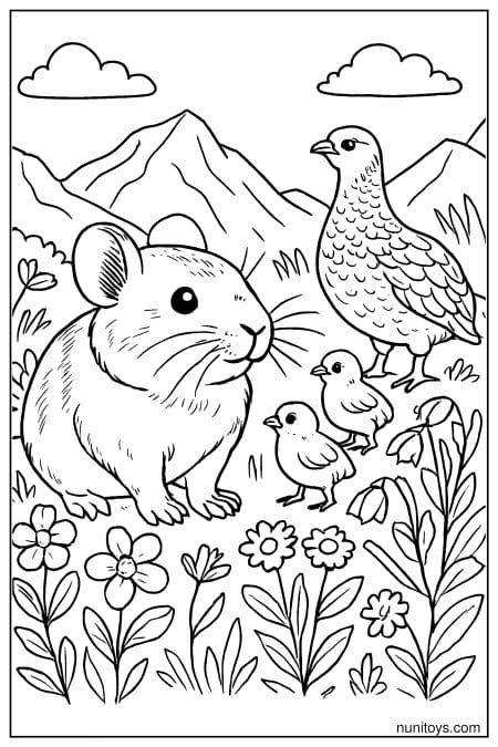 Pika with Mountain Birds and Chicks Coloring Page