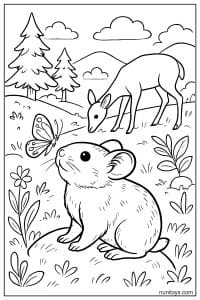 Pika Watching a Butterfly with a Deer Nearby Coloring Page