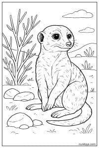 Sitting Meerkat in a Natural Habitat Coloring Page