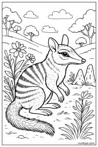 Numbat Sitting Among Wildflowers Coloring Sheet