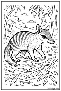 Numbat Walking Through Leafy Woodland Coloring Sheet