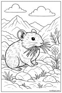 Pika Holding Grass in a Rocky Mountain Coloring Page