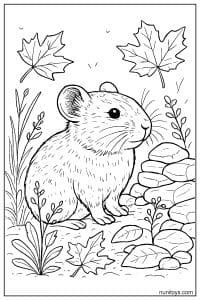 Pika Among Autumn Leaves Coloring Sheet