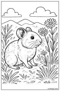 Pika in a Wildflower Mountain Meadow Coloring Page
