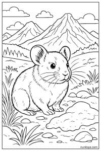 Pika in a Mountain Meadow Coloring Page