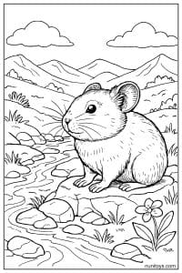 Pika Sitting Beside a Mountain Stream Coloring Page