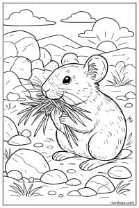 Pika Holding Grass in a Rocky Meadow Coloring Sheet