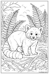 Red Panda Standing Among Ferns Coloring Page