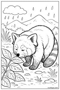 Red Panda Sniffing Leaves in the Rain Coloring Page