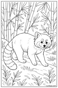 Red Panda Walking Through Bamboo Coloring Sheet