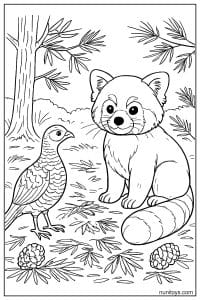 Red Panda Meeting a Forest Bird Coloring Sheet