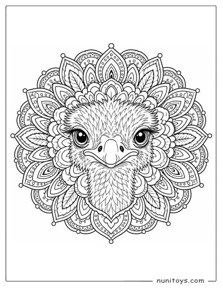Ostrich Face Floral Mandala Coloring Page