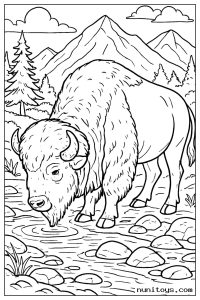 Realistic Bison Drinking from a Clear Alpine Stream Coloring Page