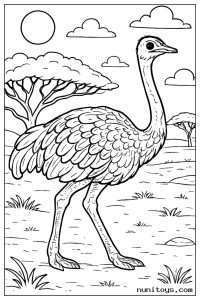 Realistic Ostrich Standing Near Savanna Tree Coloring Page