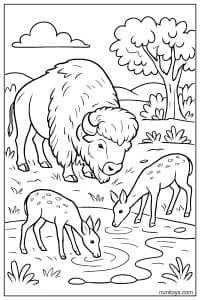 Bison Grazing with Deer Drinking Pond Coloring Page