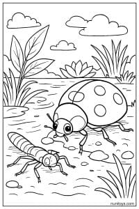 Ladybug Meeting Dragonfly Near Pond Coloring Page