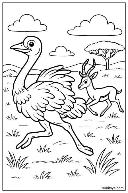 Ostrich Running Beside Antelope Coloring Page