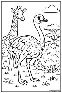 Ostrich Walking with Giraffe in Savanna Coloring Page